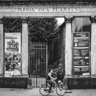 toulouse-164