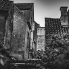 dsc00528
