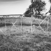 dsc01154