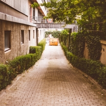 dsc01564