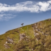 irland-137