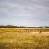 irland-107