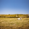 irland-178