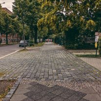 pic-115