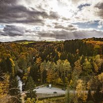pic-279