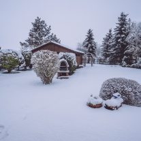 pic-141