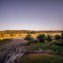 pic-150