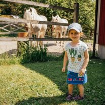 pic-158