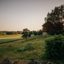 pic-190