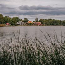 pic-386