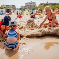 pic-808