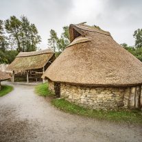 pic-464