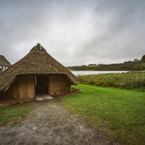 pic-469