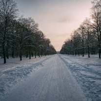 pic-109