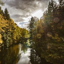 pic-204