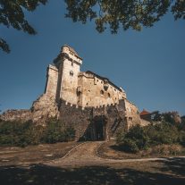 pic-221