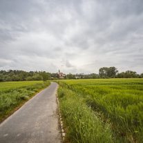 pic-150