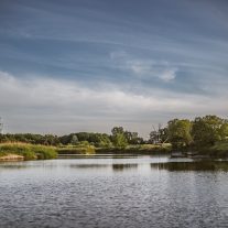pic-409