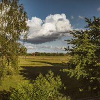 pic-452