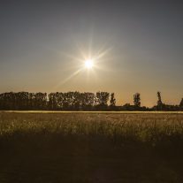 pic-456