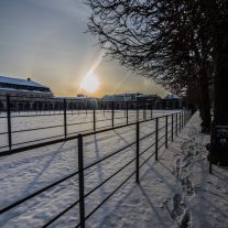 img_2538