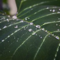 img_2686