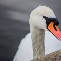 img_2693
