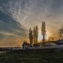 img_4536