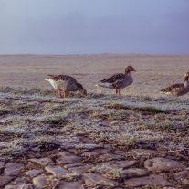 img_3680