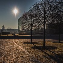 img_3689