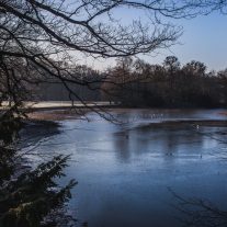 img_3690