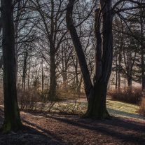 img_3691