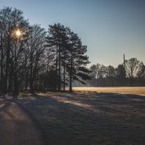 img_3693
