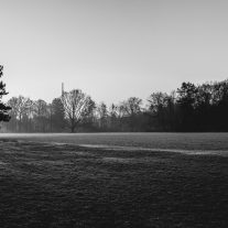 img_3694