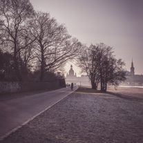 img_3884