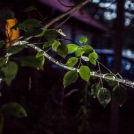 img_3551