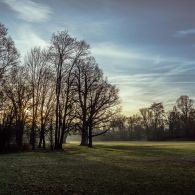 Großer Garten Dresden
