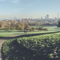 DSC04427-Pano_
