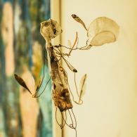 DSC05123