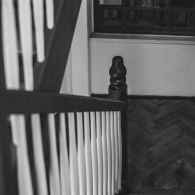 IMG_8505