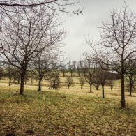 161226_weihnachten-neundorf-124