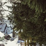 img_9599