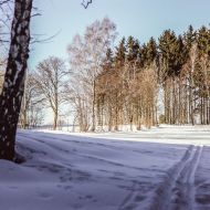 img_9662