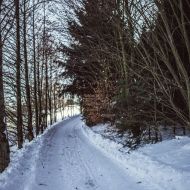 img_9682