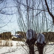 img_9683