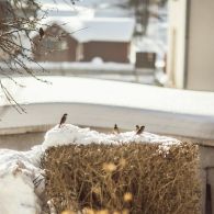 img_9566