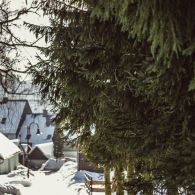 img_9599