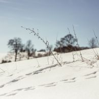 img_9613