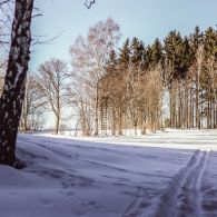 img_9662