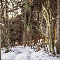 img_9674